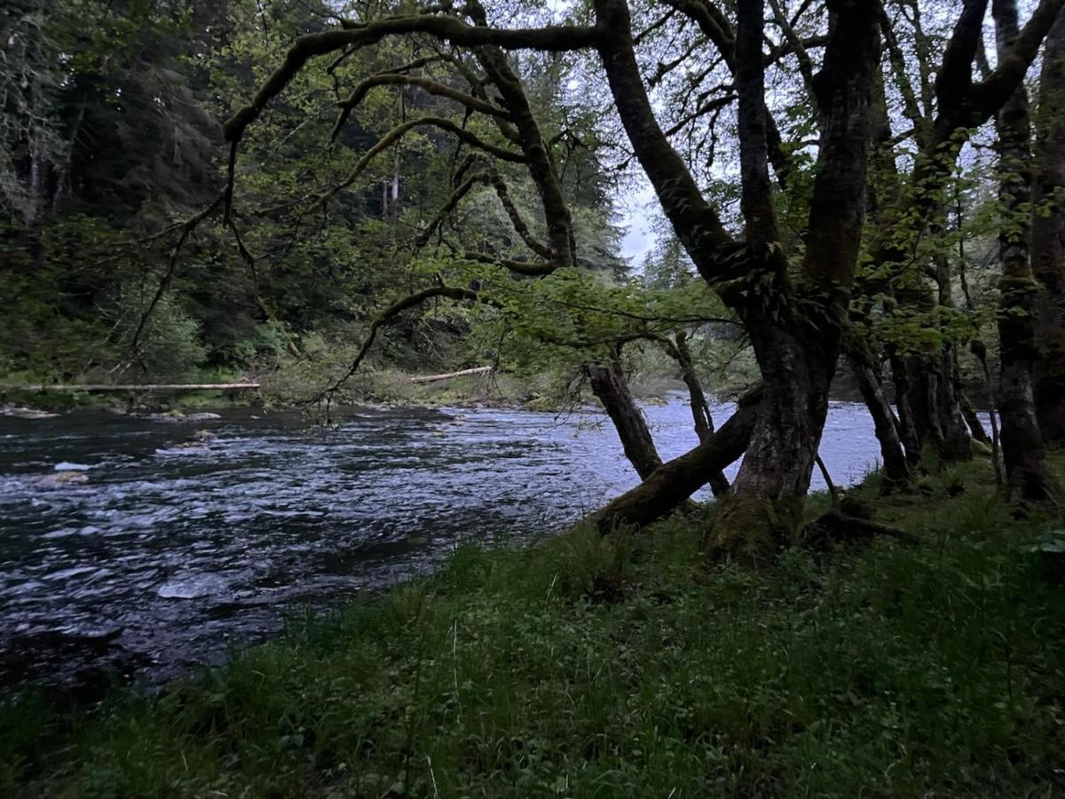 A Relaxing Getaway-A Backwoods Cabin Solduc River Beaver Экстерьер фото