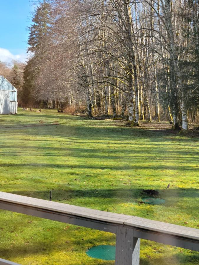 A Relaxing Getaway-A Backwoods Cabin Solduc River Beaver Экстерьер фото