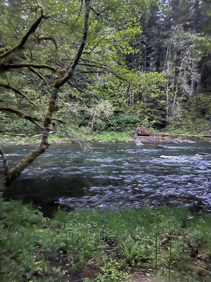 A Relaxing Getaway-A Backwoods Cabin Solduc River Beaver Экстерьер фото